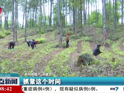 整点新闻20210426 16:00