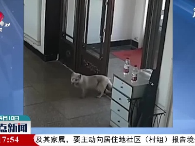 黑龙江：“有事找警察”  动物界都知道了