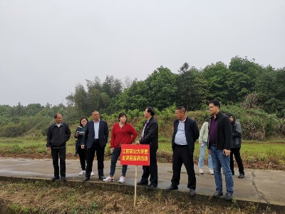 【转作风优环境】进贤县衙前乡：保秧育苗，解民之忧