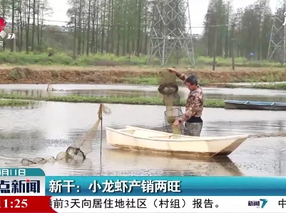 新干：小龙虾产销两旺