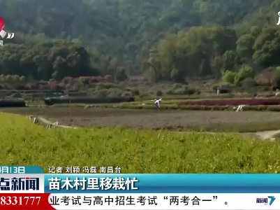 南昌：苗木村里移栽忙