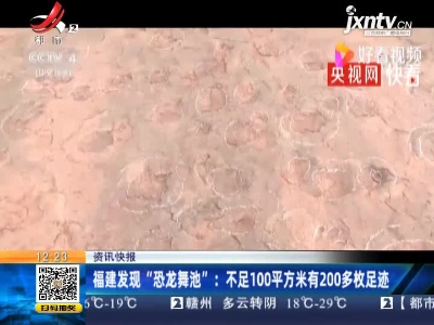福建发现”恐龙舞池”：不足100平方米有200多枚足迹