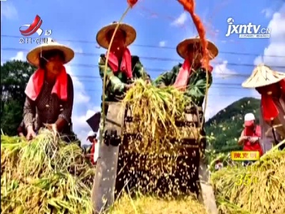 中国农民丰收节拟写入法律