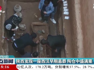 陕西发现一座西汉早期墓葬 陶仓中盛满粟