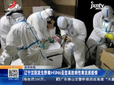 辽宁沈阳发生野禽H5N6亚型高致病性禽流感疫情