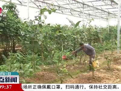 江西：全力打造现代农业“升级版”