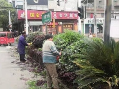 李渡镇大力开展环境卫生综合整治和集镇车辆管理工作