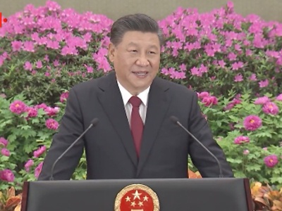 独家视频丨一次特别的递交国书活动