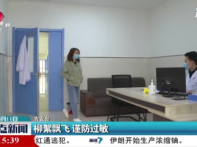 吉安：柳絮飘飞 谨防过敏