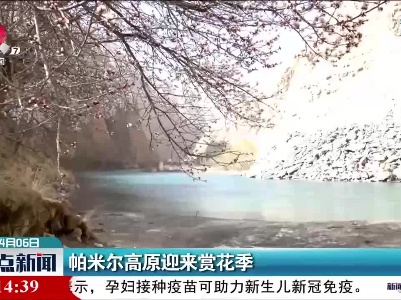 帕米尔高原迎来赏花季