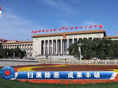 社会传真20210422 扫黑除恶 成果丰硕