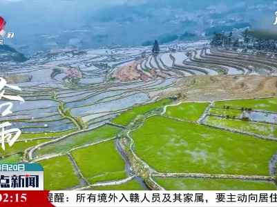 4月20日谷雨