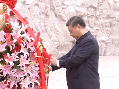 独家视频丨习近平赴广西考察调研