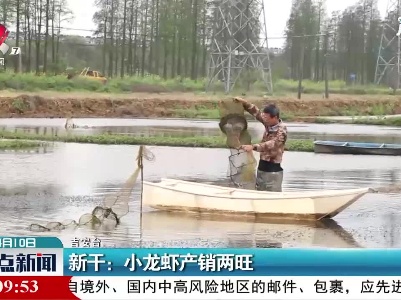 新干：小龙虾产销两旺