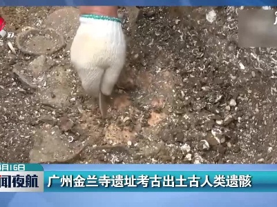 广州金兰寺遗址考古出土古人类遗骸
