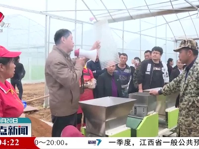 宜春：推广水稻大钵体毯状苗机插秧技术 助力粮食稳产