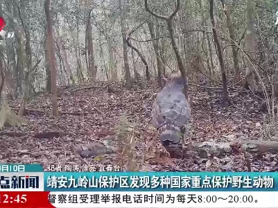 靖安九岭山保护区发现多种国家重点保护野生动物