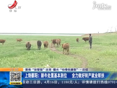 【聚焦“放管服”改革 曝光“怕慢假庸散”·后续】上饶鄱阳：耕牛处置基本到位 全力做好转产就业帮扶