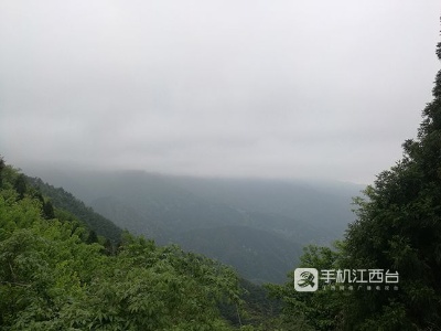 下周全省都是雨！专家：抓住时机移栽直播