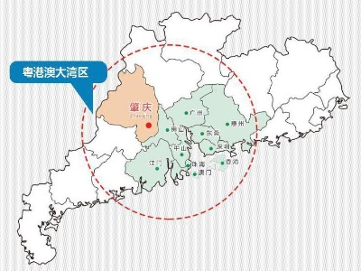 风起大湾区，奋楫扬帆逐浪行