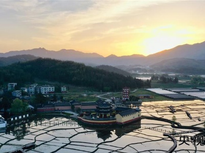 【央视快评】巩固拓展脱贫攻坚成果 全面推进乡村振兴