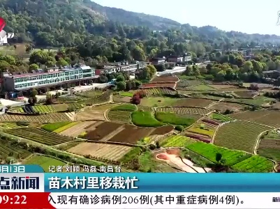 南昌：苗木村里移栽忙