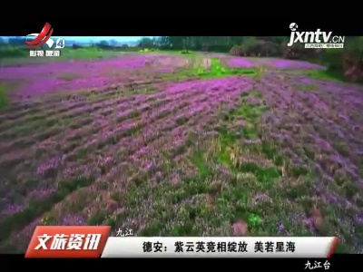 九江德安：紫云英竞相绽放 美若星海