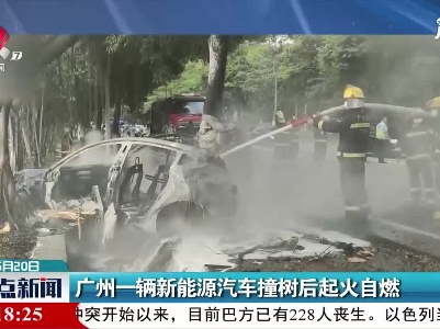 广州一辆新能源汽车撞树后起火自燃