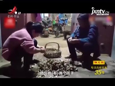 山东：女儿返程前妈妈连夜挖40斤大蒜