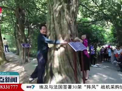 【红五月·嘉游赣】武宁：千年红豆杉令人迷