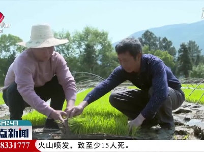 江西2021年早稻种植面积约1830万亩