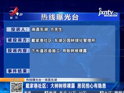 【热线曝光台·南昌东湖】戴家巷社区：大树树根裸露 居民担心有隐患