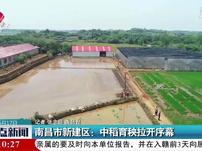 南昌市新建区：中稻育秧拉开序幕