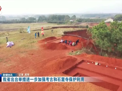 我省出台举措进一步加强考古和石窟寺保护利用