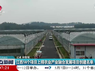 整点新闻20210508 12:00