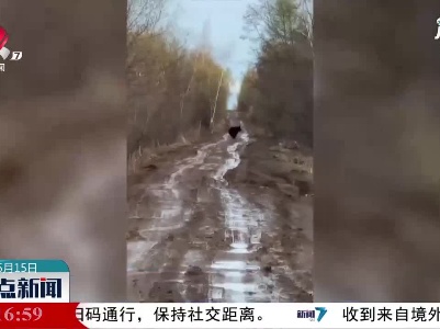 现实版“熊出没”！黑龙江一农民回家路上偶遇黑熊