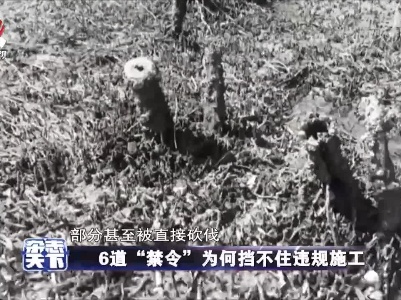 6道“禁令”为何挡不住违规施工