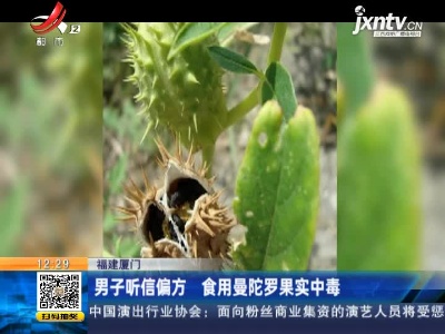 福建厦门：男子听信偏方 食用曼陀罗果实中毒