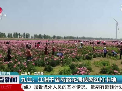 【红五月·嘉游赣】九江：江洲千亩芍药花海成网红打卡地