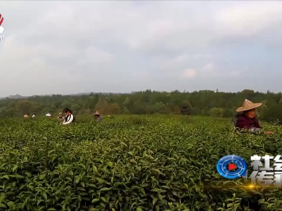 社会传真20210516 纪录红土地精彩华章