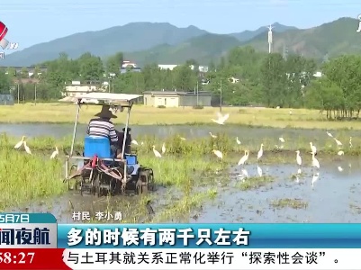 芦溪：昔日石灰岭 今夕白鹭飞