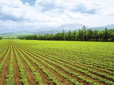 占补平衡守住耕地保护红线（人民时评）