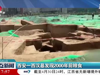 西安一西汉墓发现2000年前粮食