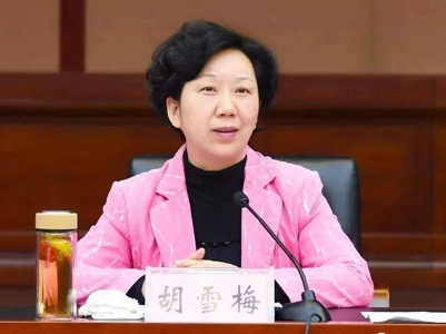 胡雪梅当选景德镇市人民政府市长