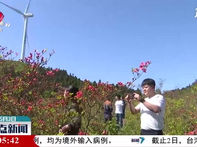 【红五月·嘉游赣】宜丰：万亩杜鹃绽放 繁花似锦醉游人
