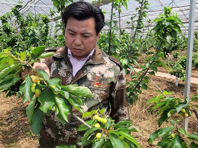 红心向党助力乡村振兴 返乡创业不负热血青春