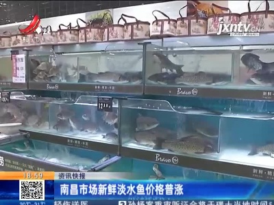 南昌市场新鲜淡水鱼价格普涨