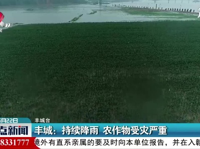 丰城：持续降雨 农作物受灾严重