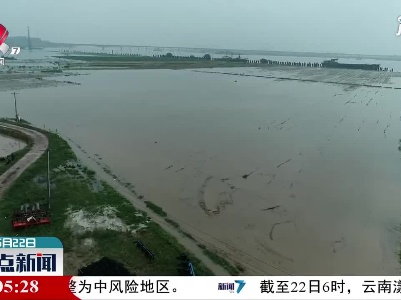 丰城：持续降雨 农作物受灾严重