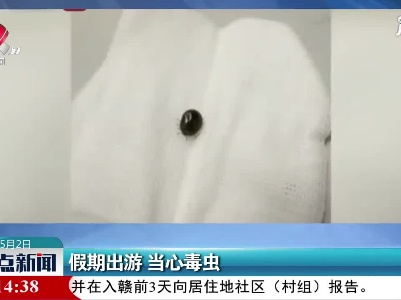 假期出游 当心毒虫